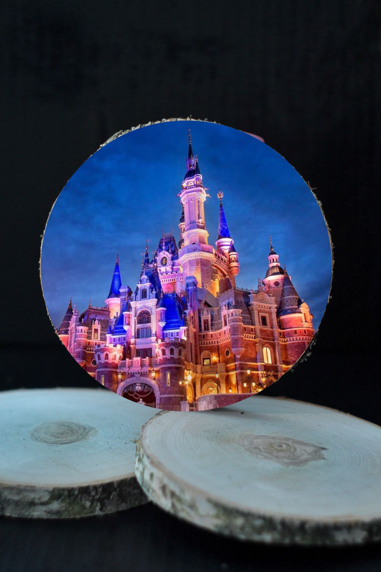 3D Koka ripiņa - DISNEY